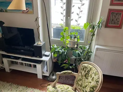 Télévision ou salle de divertissement dans l'établissement Joli deux pièces bien decores