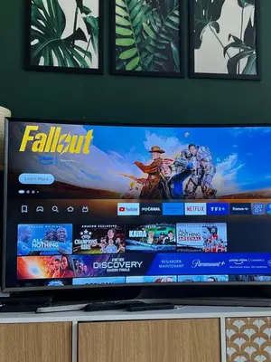 Télévision ou salle de divertissement dans l'établissement Un charmant appartement à côté de la cité florale