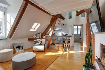 Télévision ou salle de divertissement dans l'établissement Loft place des Vosges