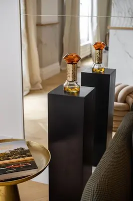 Coin salon dans l'établissement Luxueuse Suite # 2 Chambres # Wagram # Paris 17