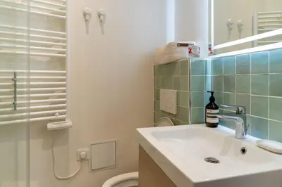 Salle de bains dans l'établissement Airy and Stylish 1BD Flat ile Saint-Louis