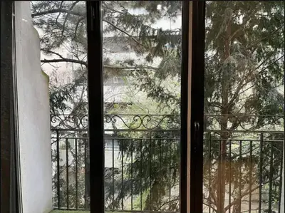 Balcon ou terrasse dans l'établissement Appartement Paris 11 - 2 chambres - 2 sdd - 2 wc