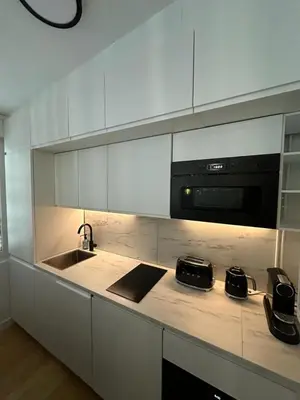 Cuisine ou kitchenette dans l'établissement Arc de Triomphe | Champs Élysées - Magnifique T2