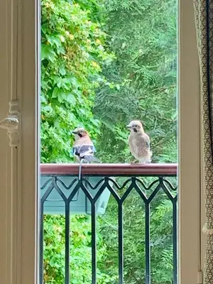 Balcon ou terrasse dans l'établissement St Georges proche Opéra et la Basilique sacrée