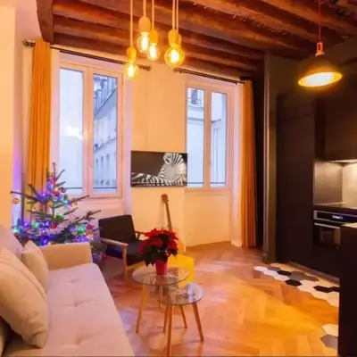 Bel Appartement Parisien