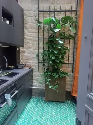 Cuisine ou kitchenette dans l'établissement Le Petit Atelier Des Lumières, VÉRANDA AGRÉABLE