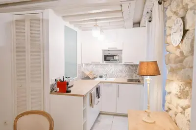 Cuisine ou kitchenette dans l'établissement Cosy Appartement en plein Marais