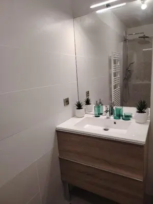 Salle de bains dans l'établissement Grand appartement familial paris13