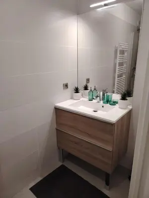 Salle de bains dans l'établissement Grand appartement familial paris13