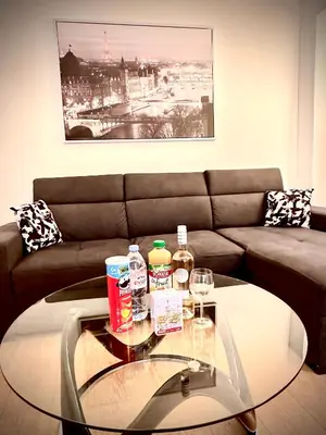 Coin salon dans l'établissement Champs Élysées appartement 5