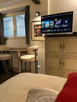Télévision ou salle de divertissement dans l'établissement Charmant studio et style unique