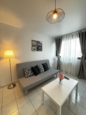 Coin salon dans l'établissement Appartement F3 avec Projecteur à 100m du Métro!