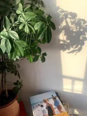 Plan de l'établissement Charmant appartement avec vue