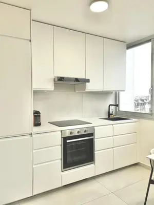 Cuisine ou kitchenette dans l'établissement Modern Parisian flat Quartier asiatique Choisy