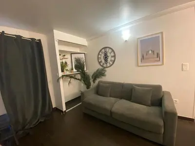 Coin salon dans l'établissement Appartement Pasteur Rue de Vaugirard
