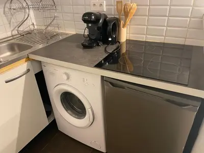 Cuisine ou kitchenette dans l'établissement Appartement Pasteur Rue de Vaugirard