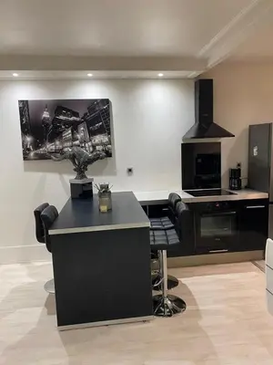 Cuisine ou kitchenette dans l'établissement Appartement Cosy quartier Champs Élysées