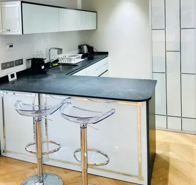Cuisine ou kitchenette dans l'établissement Elégant 4 pièces au coeur du Paris artiste