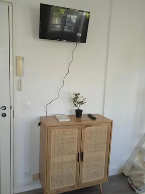 Télévision ou salle de divertissement dans l'établissement Gare Montparnasse,gorgeous1 bedroom,close to Eiffel tour,center , stuning place