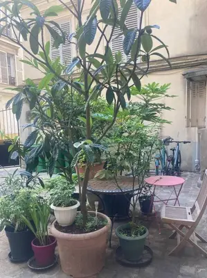 Jardin de l'établissement Appart charmant à Montmartre