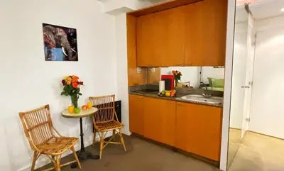 Cuisine ou kitchenette dans l'établissement Studio The Champs-Élysées