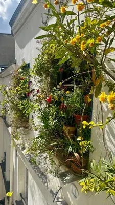 Jardin de l'établissement Marais Picasso - Appartement de 40 m2
