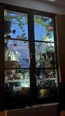 Jardin de l'établissement Marais Picasso - Appartement de 40 m2