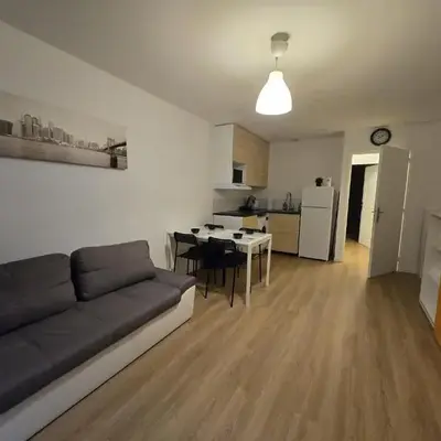 Appartement centre de Paris 19