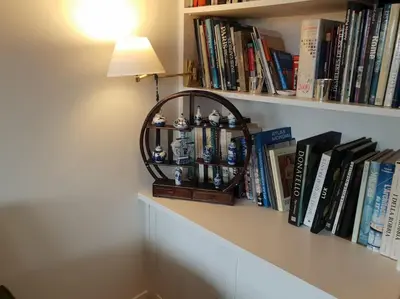Bibliothèque dans l'appartement