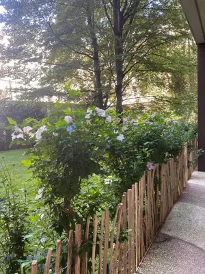 Jardin de l'établissement Luxurious and Glamorous Apartment