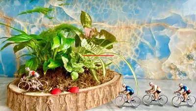 Vélo sur le terrain de l'établissement Luxurious and Glamorous Apartment ou dans les environs