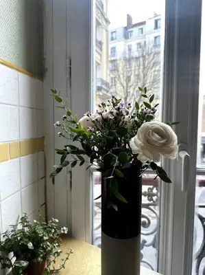 Plan de l'établissement Appartement parisien