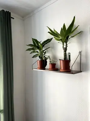 Plan de l'établissement Appartement parisien