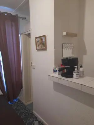 Cuisine ou kitchenette dans l'établissement Studio abir
