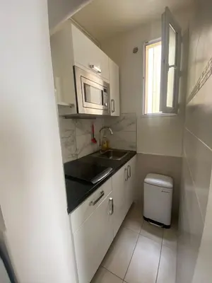 Cuisine ou kitchenette dans l'établissement Appartement au cœur de Paris