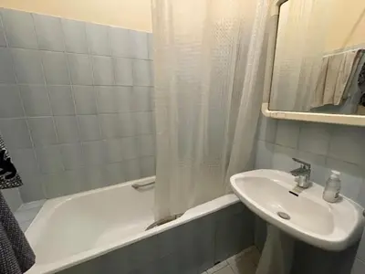 Salle de bains dans l'établissement appartement pres de la tour eiffel