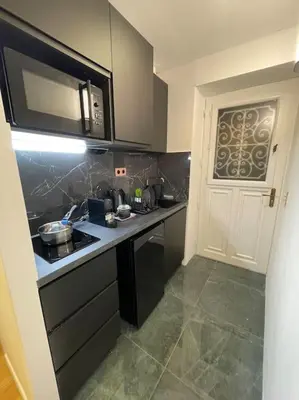 Cuisine ou kitchenette dans l'établissement Cosy Appart Paris 8e champs elysees Miromesnil