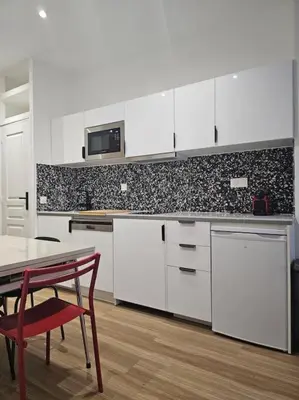 Cuisine ou kitchenette dans l'établissement chic Montmartre apartment
