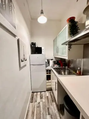 Cuisine ou kitchenette dans l'établissement Studio cosy à Porte de Versailles