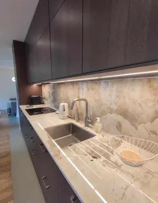 Cuisine ou kitchenette dans l'établissement Le LylSpick
