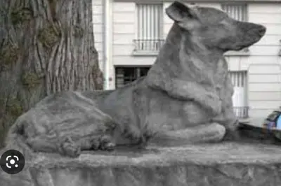 Animal ou animaux domestique(s) séjournant avec des clients dans l'établissement Charmant nid au cœur de Paris