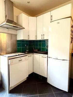 Cuisine ou kitchenette dans l'établissement Spacious & Quiet Flat, Close to Paris Expo
