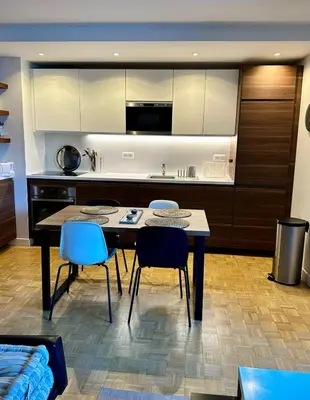 Cuisine ou kitchenette dans l'établissement Charming T2 with balcony near the Bastille