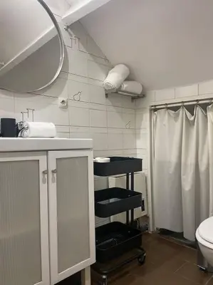 Salle de bains dans l'établissement Cosy appartement place des Abbesses-Sacré-Cœur !