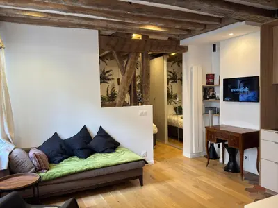 Télévision ou salle de divertissement dans l'établissement Elevator - Bright 1BR in the heart of hip Paris, Montorgueil