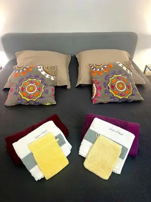 Un ou plusieurs lits dans un hébergement de l'établissement Magnifique appartement Paris 11ème