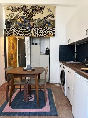 Cuisine ou kitchenette dans l'établissement Appartement Rive Gauche