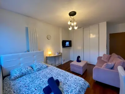 Télévision ou salle de divertissement dans l'établissement Appartement Passy PARIS