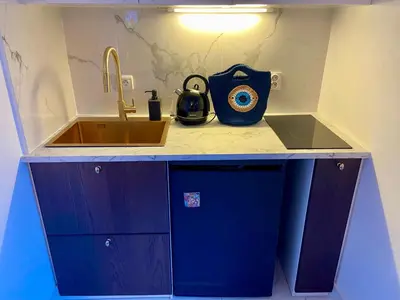Cuisine ou kitchenette dans l'établissement Appartement Passy PARIS