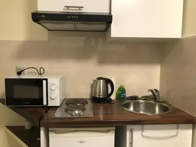 Cuisine ou kitchenette dans l'établissement Le studio de Bastille Paris